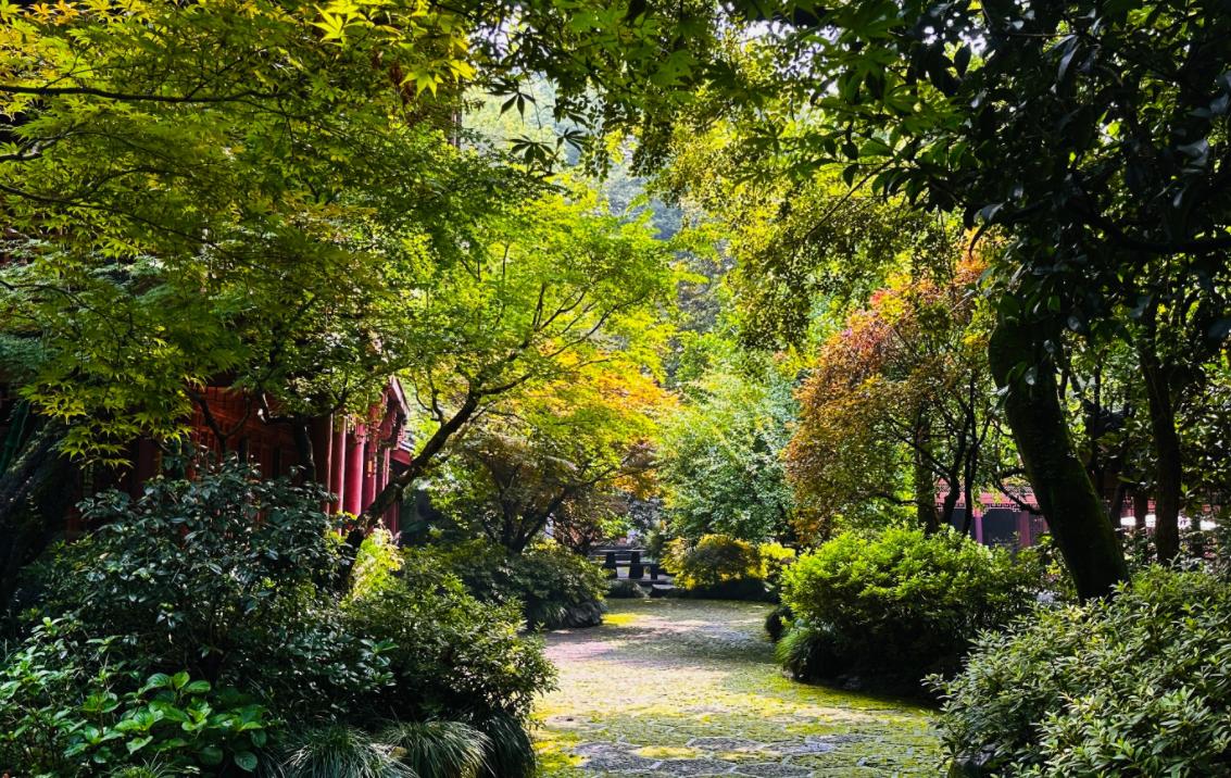 来江南穿汉服照视频,穿汉服在杭州西湖拍的视频