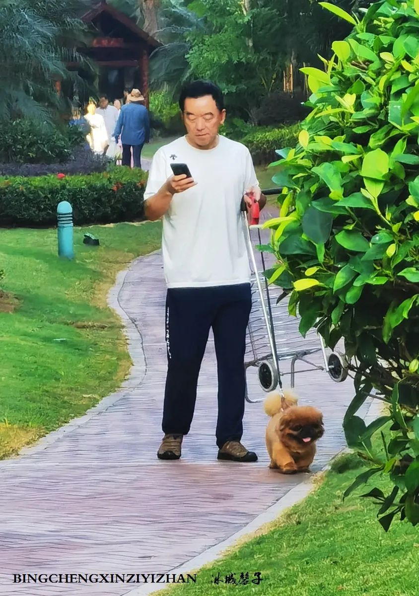 旅居海南：九所新区的浪漫情