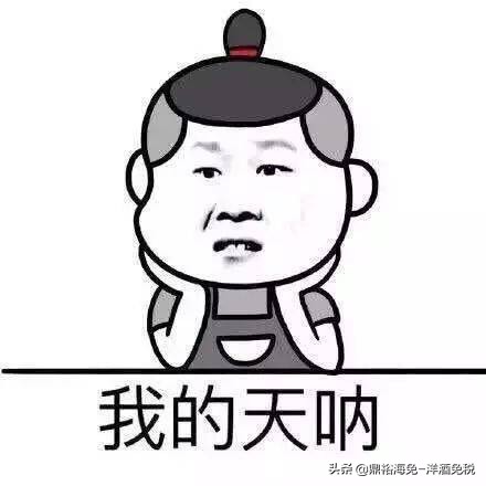 轩尼诗假酒怎么辨别,假酒轩尼诗vsop配方