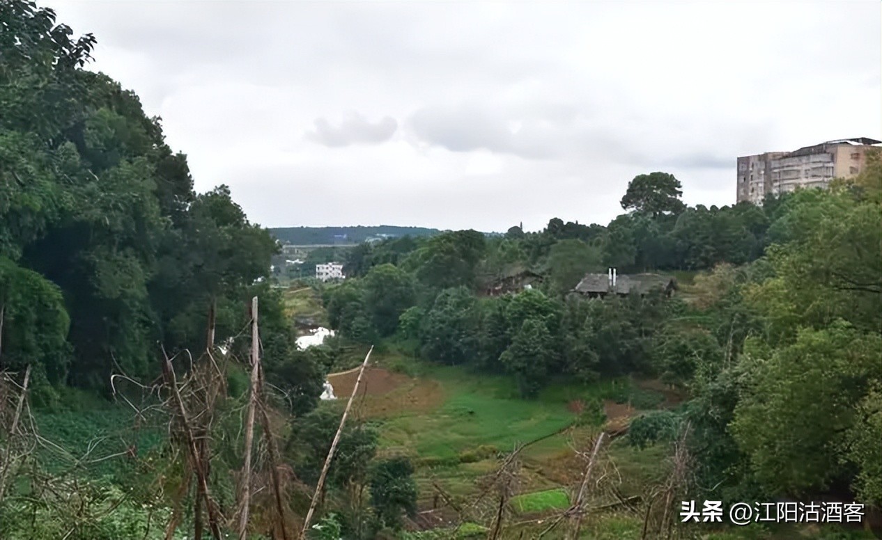 考古四川泸州方山,泸州江阳区古墓