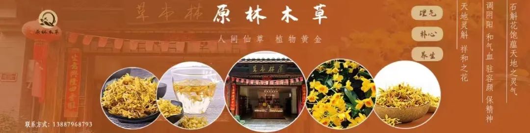 【普洱茶都康乐思茅】火焰木：凤凰涅槃浴火重生