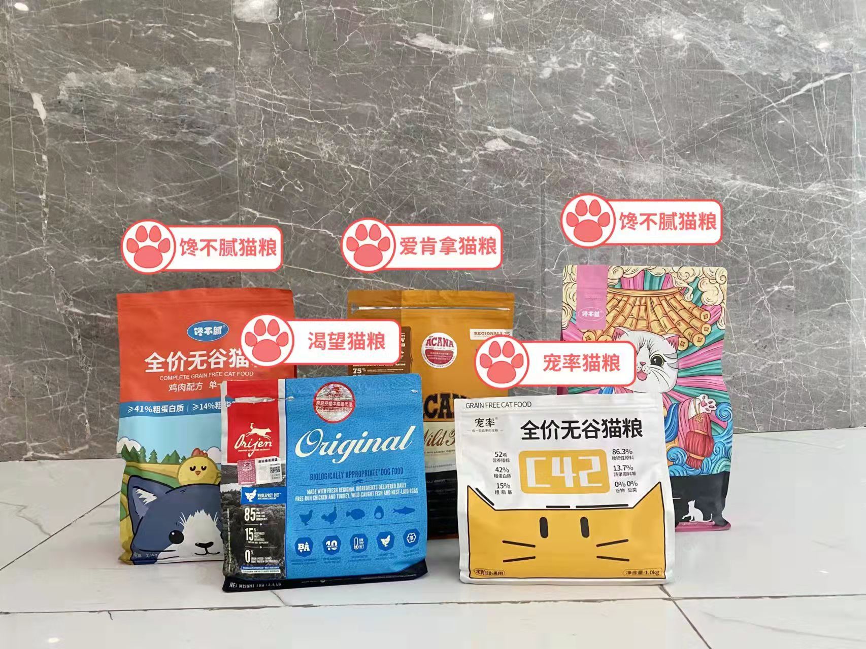 如何选择适合自己的一只猫,拥有一只猫你会获得什么呢