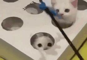 ts质量管理体系三大审核,ts核心工具指哪些