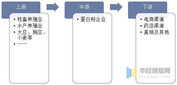 2022年中国蛋*粉白**市场规模、专利数量、进出口及重点企业分析