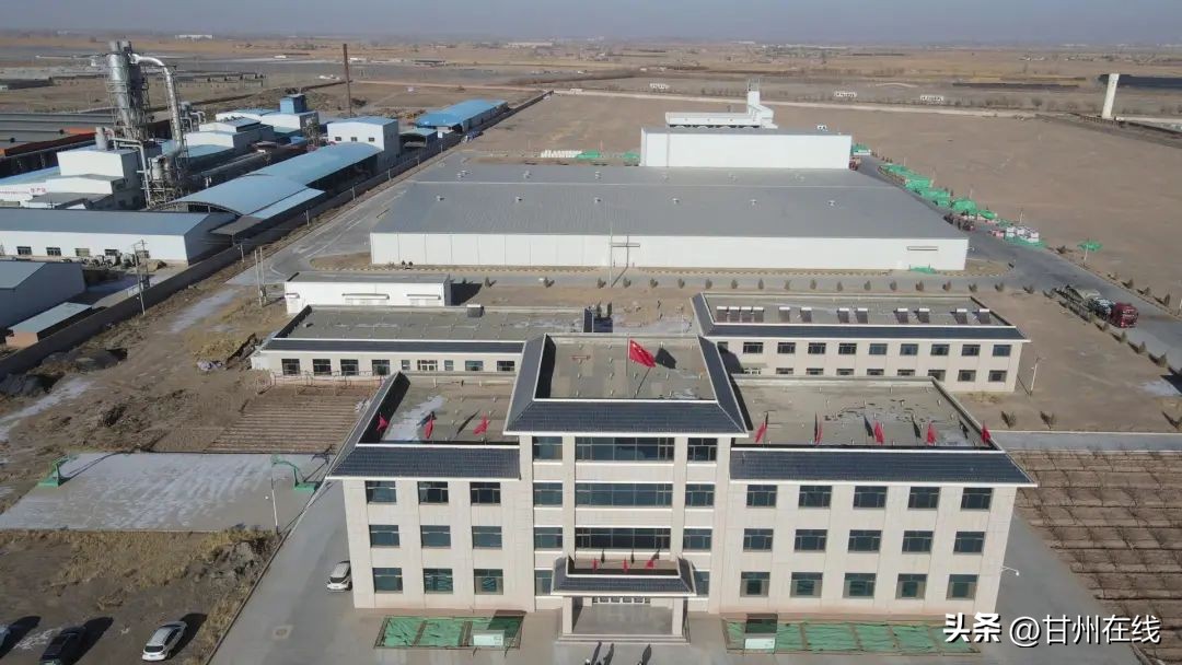 甘州区各制种企业开足马力忙生产