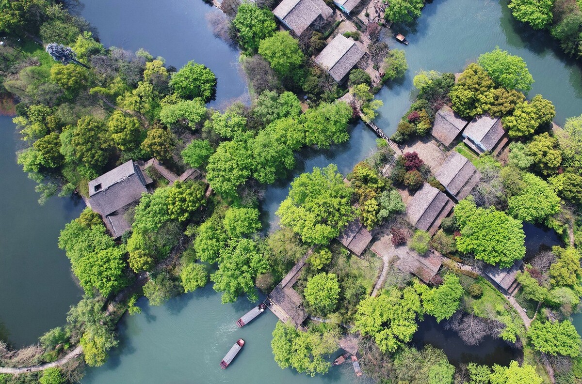 巨蟹座狮子座处女座今日运势,狮子座巨蟹座下半月运势