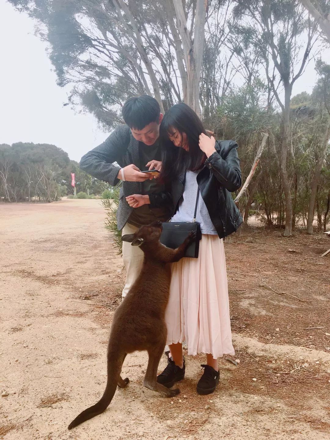 第五情书,异国恋情书