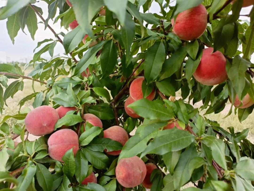 兰州新区十周年献礼|文商旅感恩钜惠，福利来袭！优惠加磅！