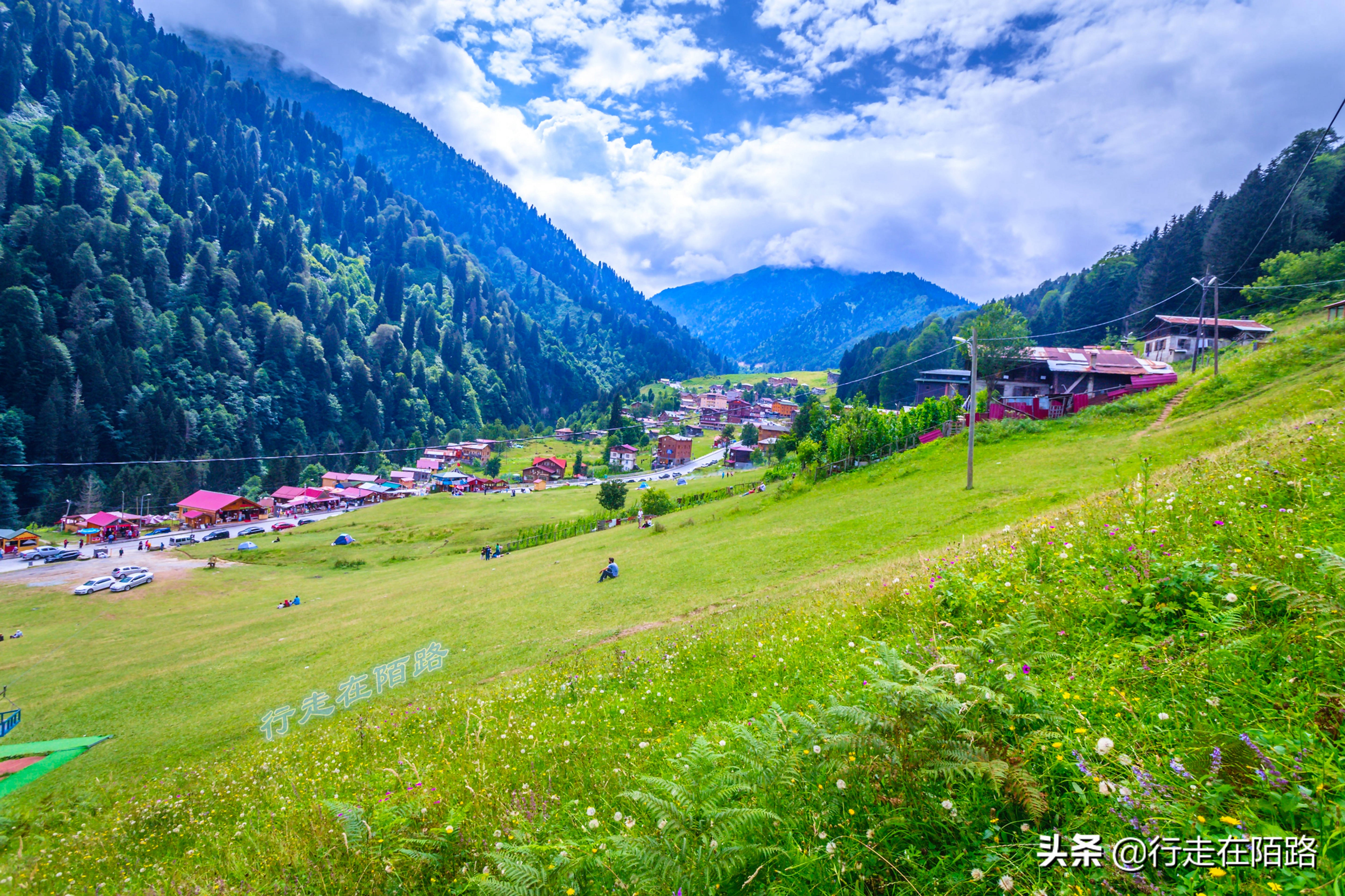 土耳其人茶文化,土耳其中文向导
