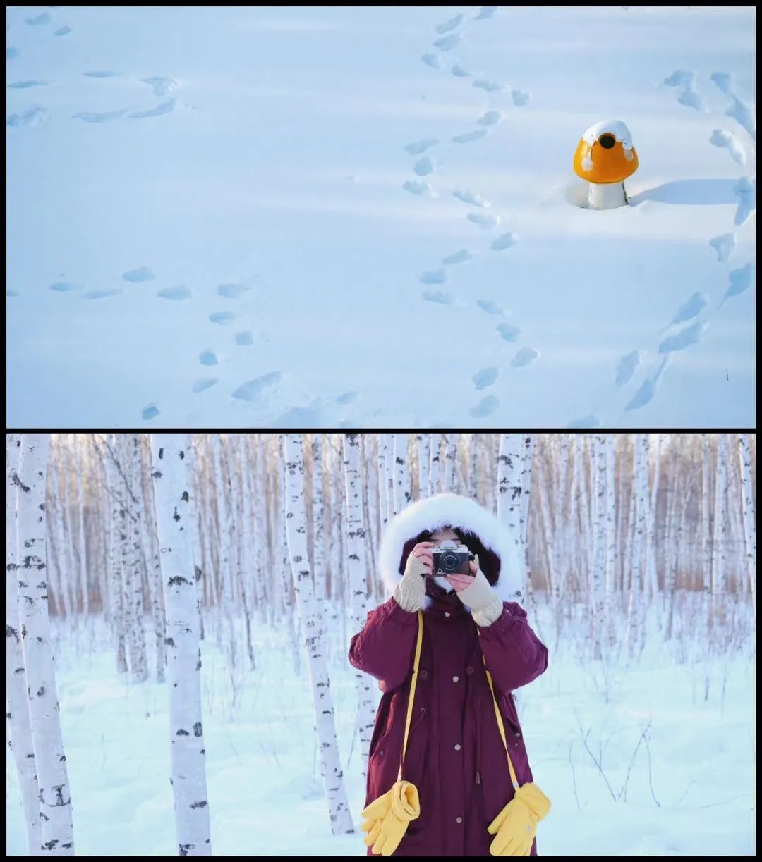 去哪看极光最好的地方,去哪里看极光最好的地方