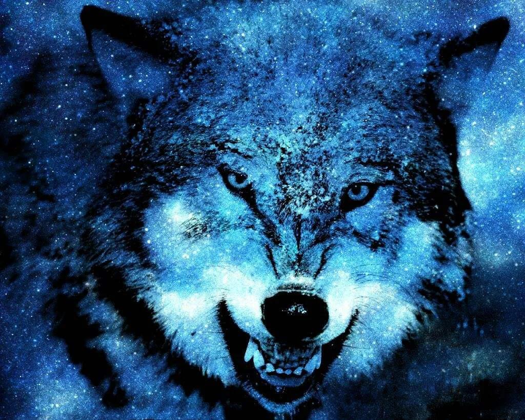 狼图腾作者姜戍,狼图腾姜绒谁讲的好