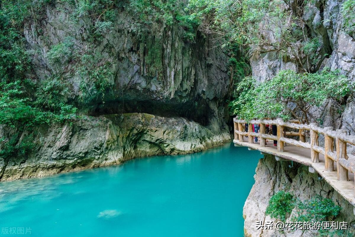 荔波绿宝石一日游,荔波全年游客接待量