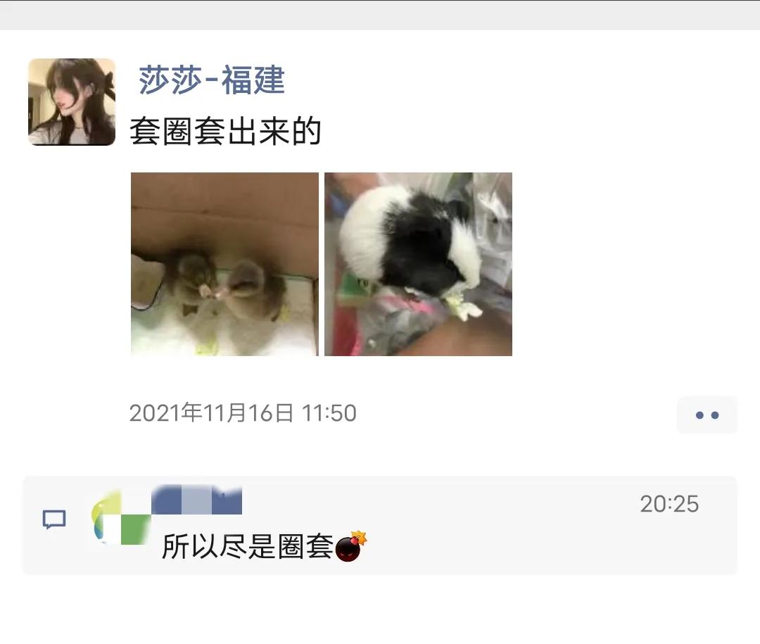 开淘宝店铺被骗了能报警吗,开淘宝店铺骗人的套路