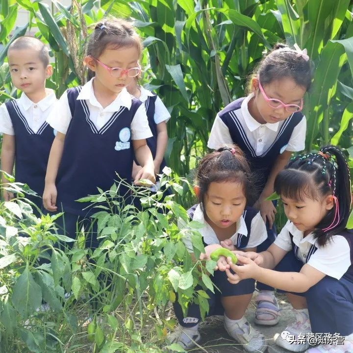 东营市春季开学,新学期新气象视频幼儿园