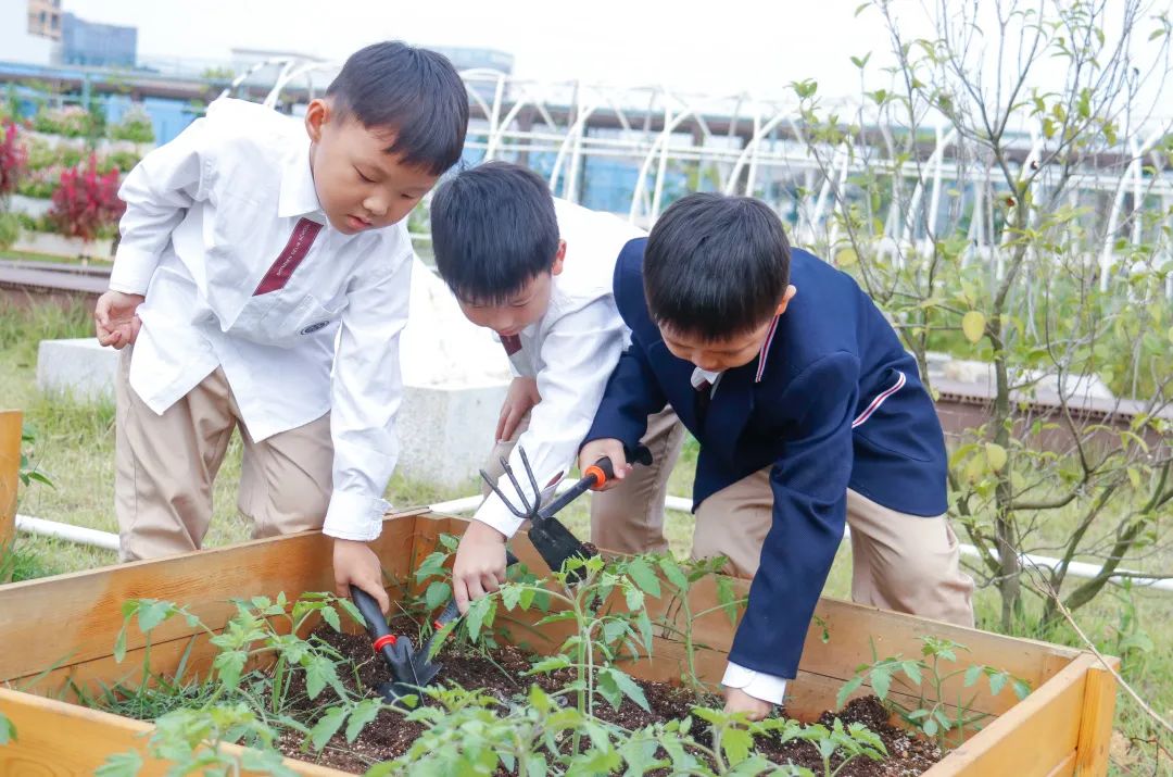 德琳学校怎么样,德琳学校学费一览表