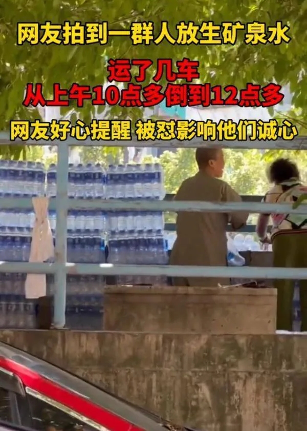 灵隐寺旁大量放生乌龟死亡,灵隐寺旁大量放生宠物龟死亡