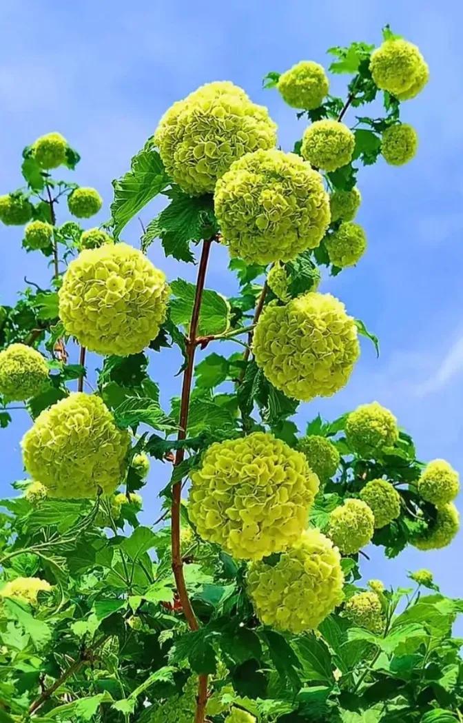 从来对你有求必应的人,有求必应的人不配被珍惜