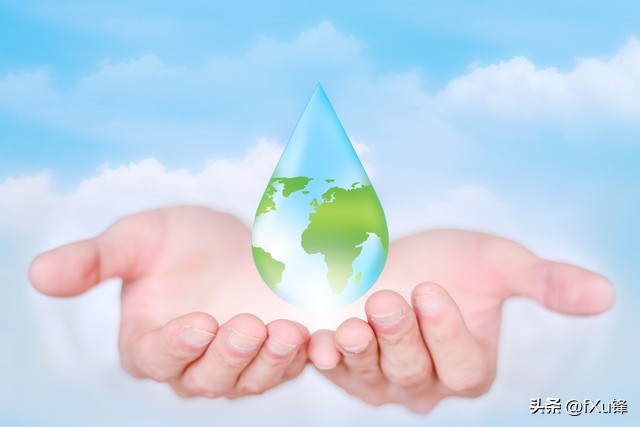 砗磲最早什么时期出现,2016年之前的砗磲