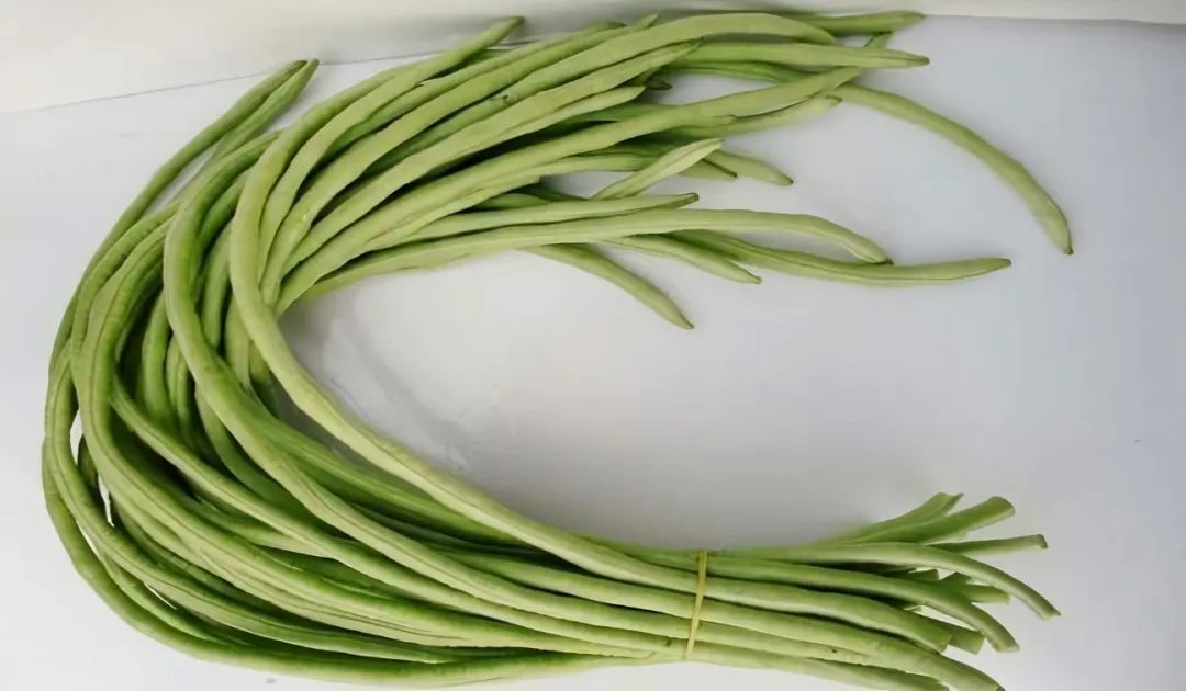 浙江人常吃的蔬菜有哪些,幼儿园常吃的蔬菜有哪些