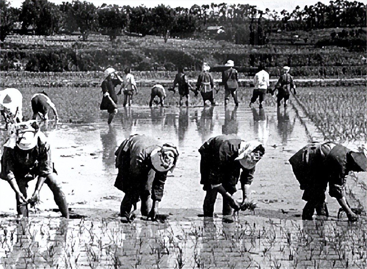 *小平邓**如何评价自己？