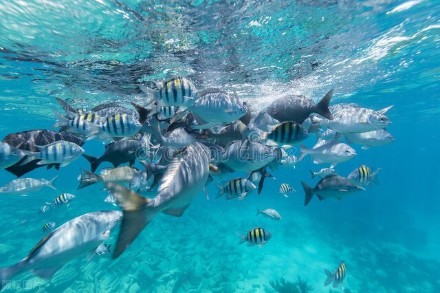 百慕大三角原传闻,百慕大三角之谜是虚构的吗