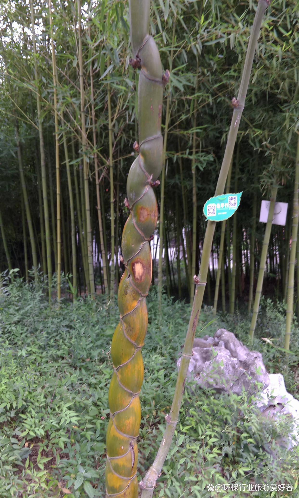 扬州旅游攻略一日游推荐图,扬州旅游三天两夜自由行攻略