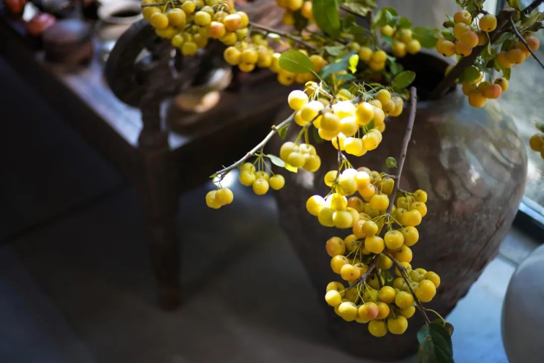 疫情三年,北京夫妻带女儿安守乡下400㎡土坯房