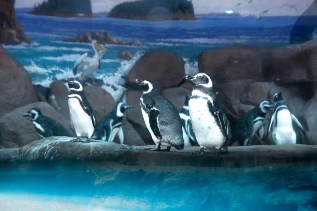 西安炎炎夏日游玩攻略,西安避暑纳凉好去处都市快报