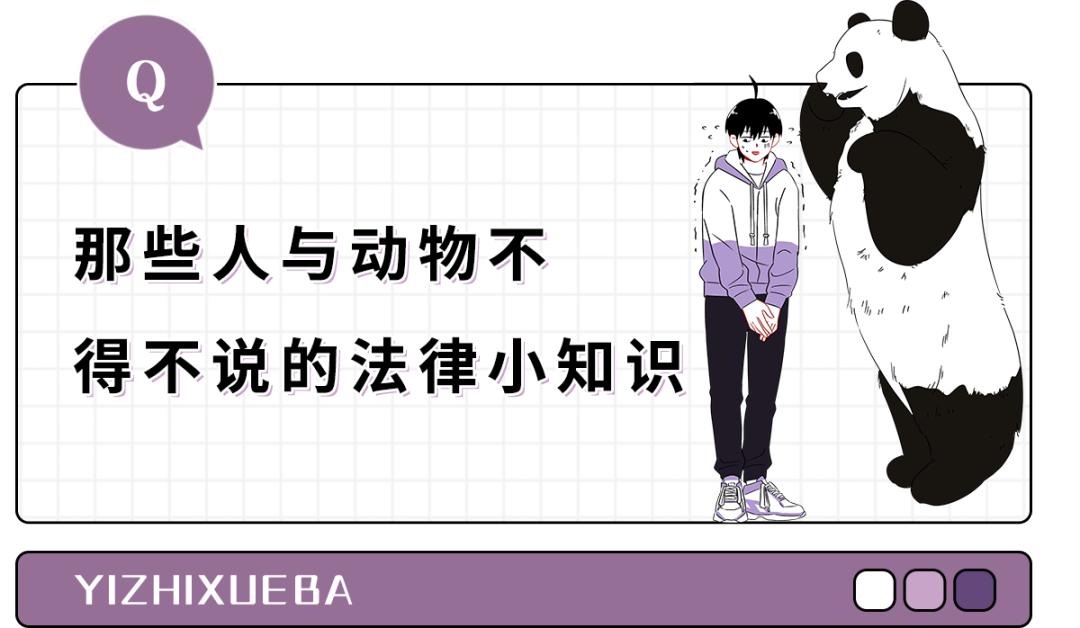 被峨眉山猴子打可以反击吗,峨眉山猴子被人类反杀