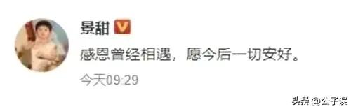 张继科刘诗雯之间的秘密,张蕊张继科刘诗雯