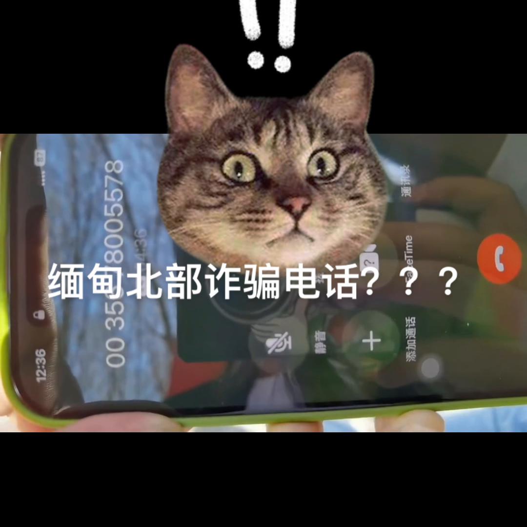 电信诈骗小姐姐视频,小姐姐第一次遇到网络诈骗