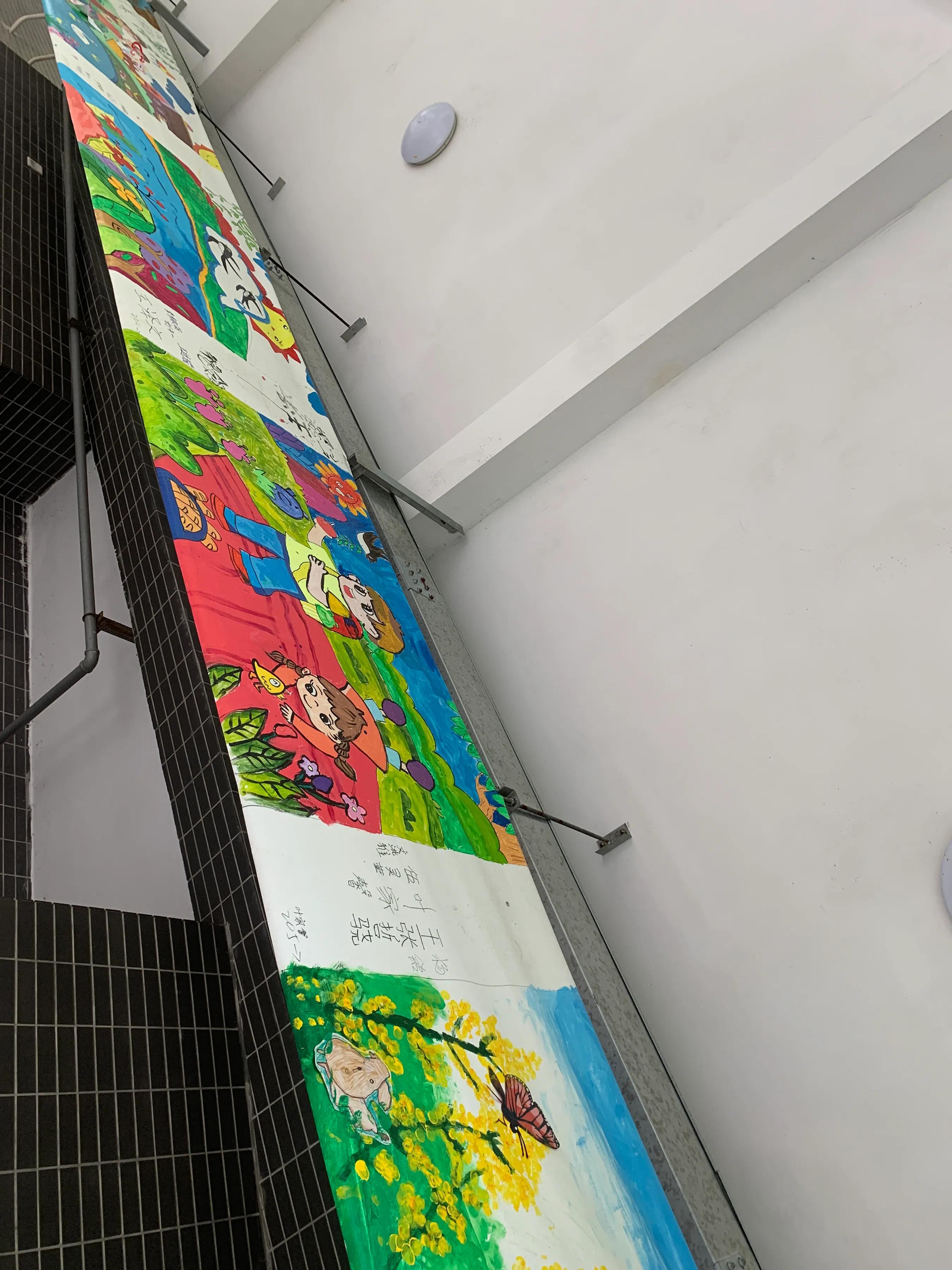 美丽的凤凰小学,林中凤凰小学