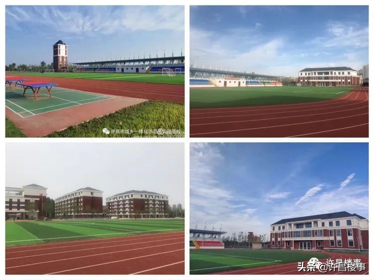 示范区中小学划片区示意图,长沙芙蓉区2022年小学学区划分