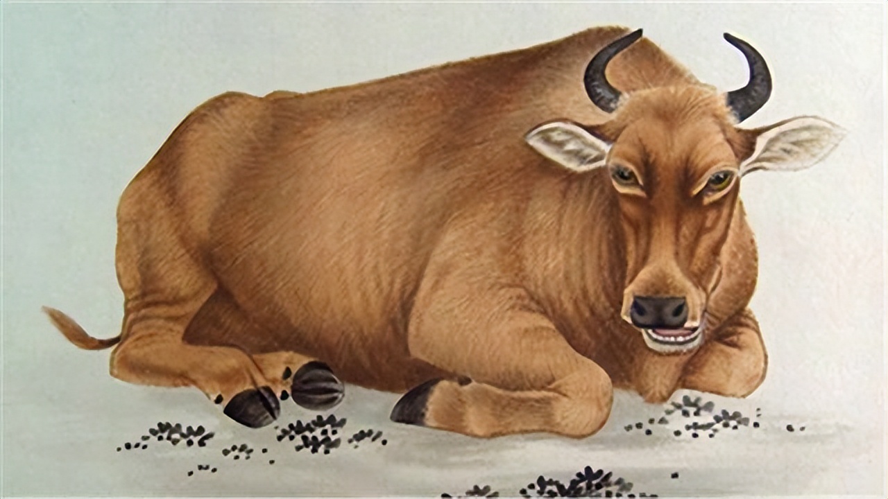 八字合婚属相口诀大全,结婚八字配对最佳属相图