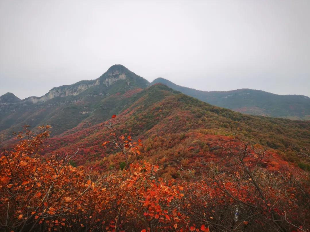 天地之中少林寺,中岳嵩山两个山哪个更好