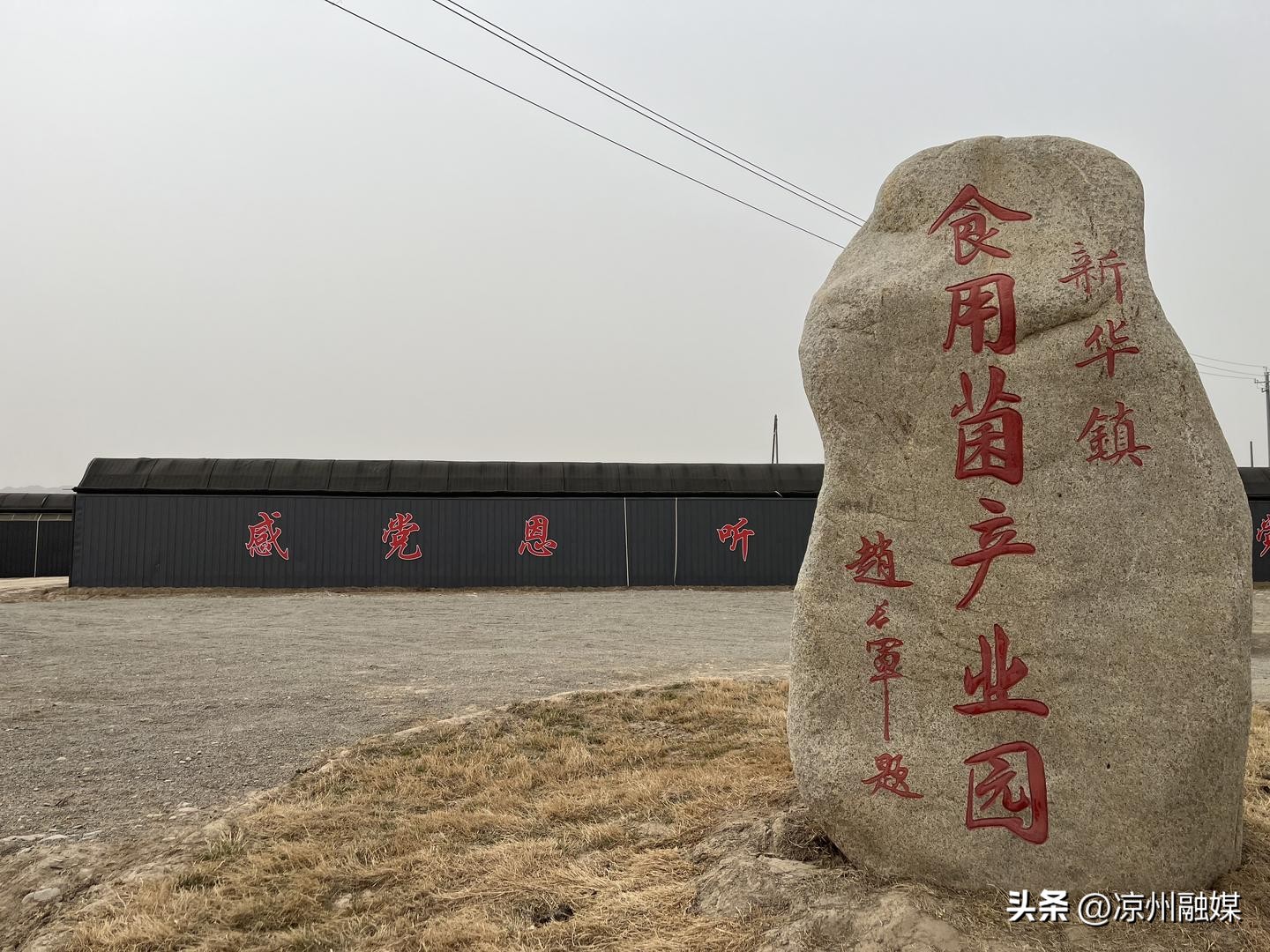 真心诚意办实事民生举措暖人心,扎实办好民生实事提升群众获得感