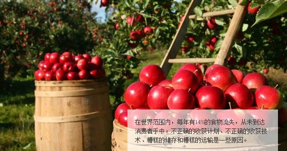 食品追溯管理方案推荐,食品溯源系统解决方案推荐