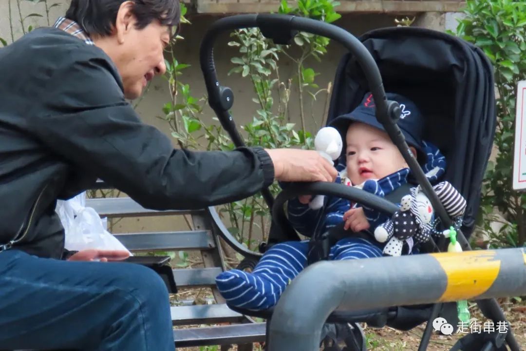 爷孙隔代亲的经典歌曲,爷孙隔代亲