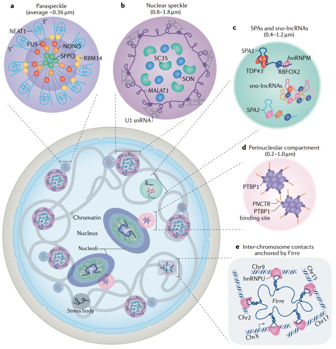 nature最新论文,nature论文最新发现