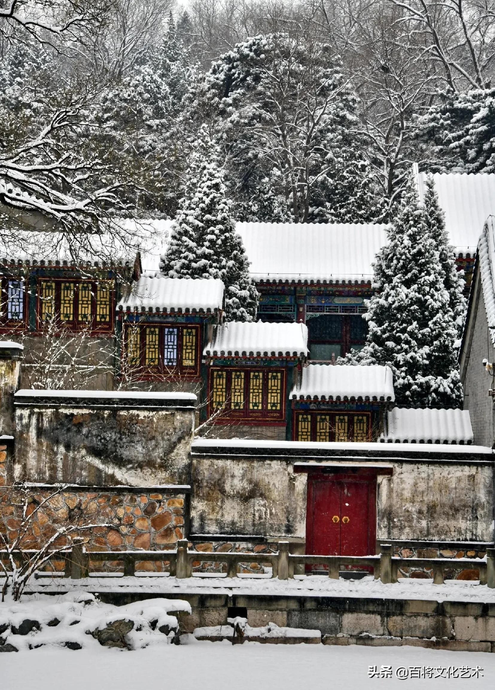 「百将文化」枝横碧玉天然瘦，恋破黄金分外香