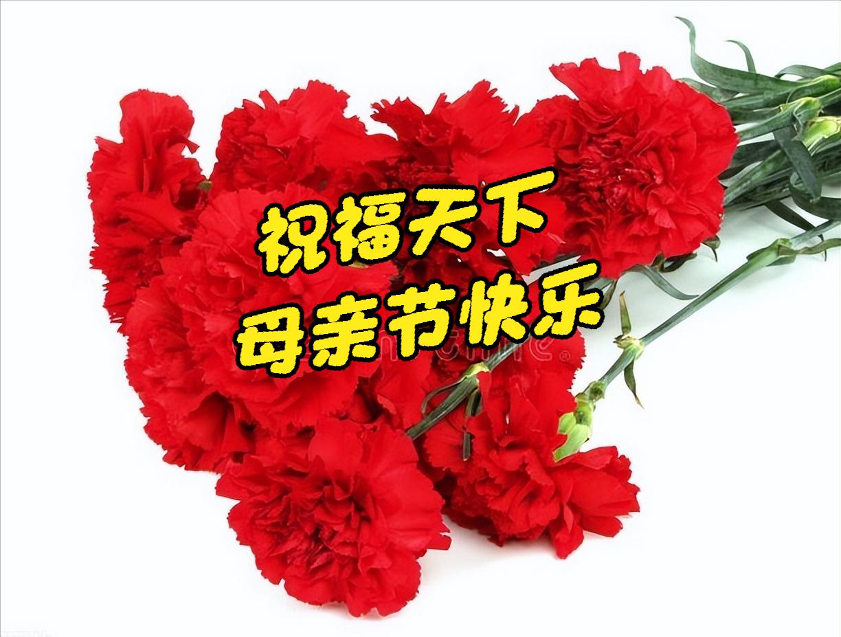 母亲节母爱胜过鲜花的美,感恩母亲节世界上唯有母爱最无私