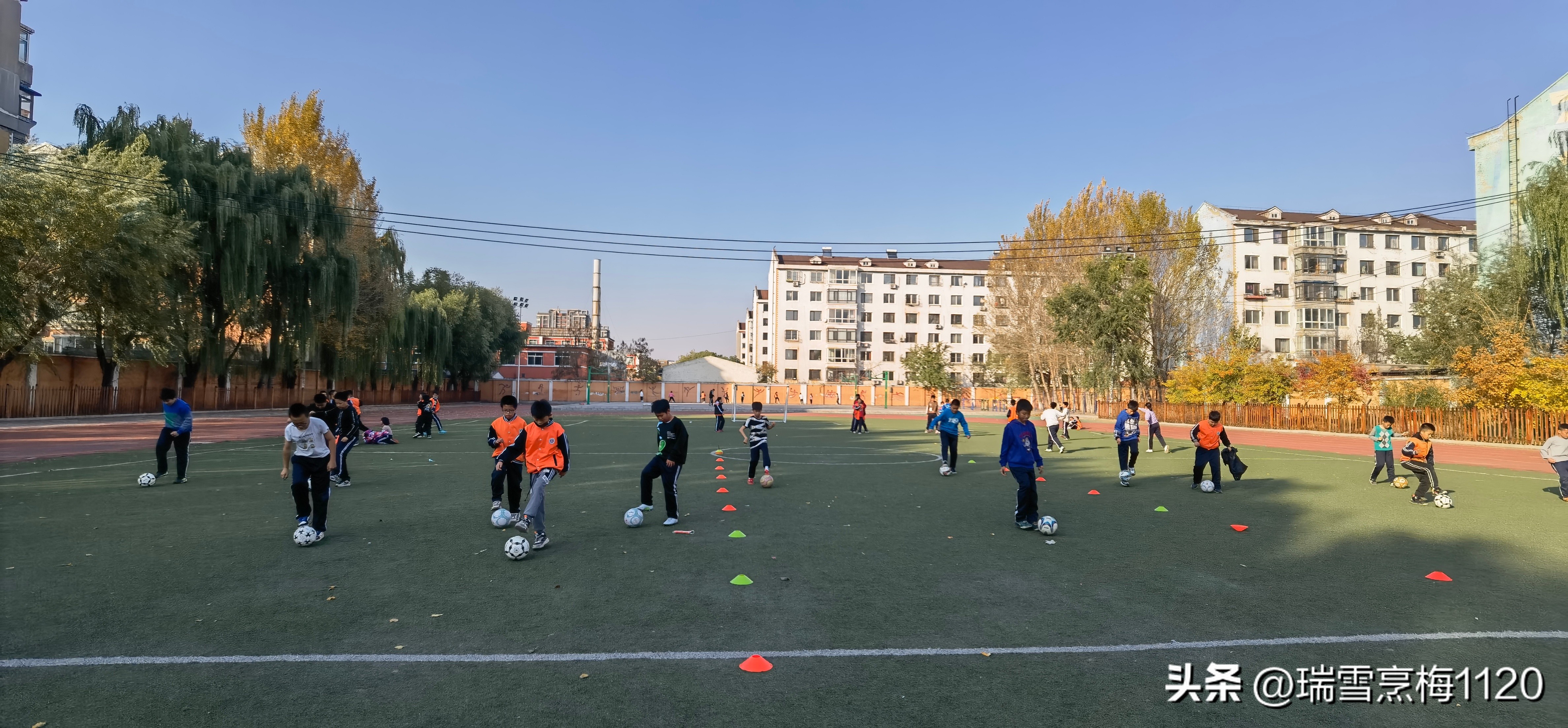 新城子街第一小学喜报,新城子街第一小学2017年