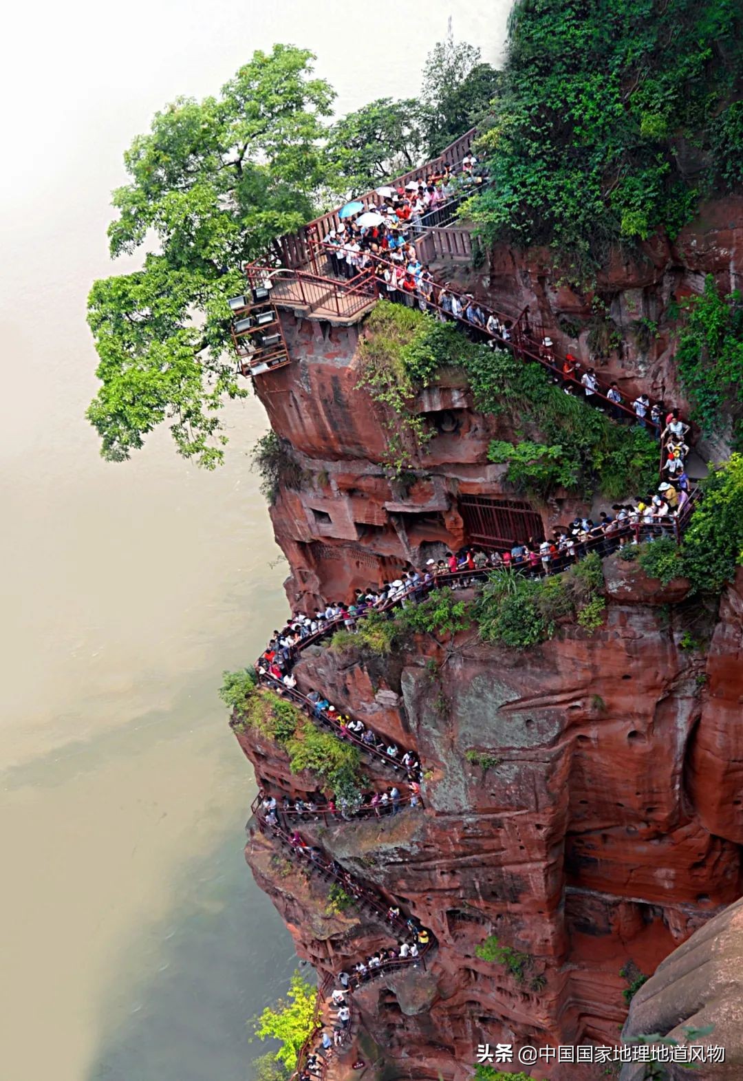 钵钵鸡冷串串家常做法藤椒味,红油串串钵钵鸡凉面
