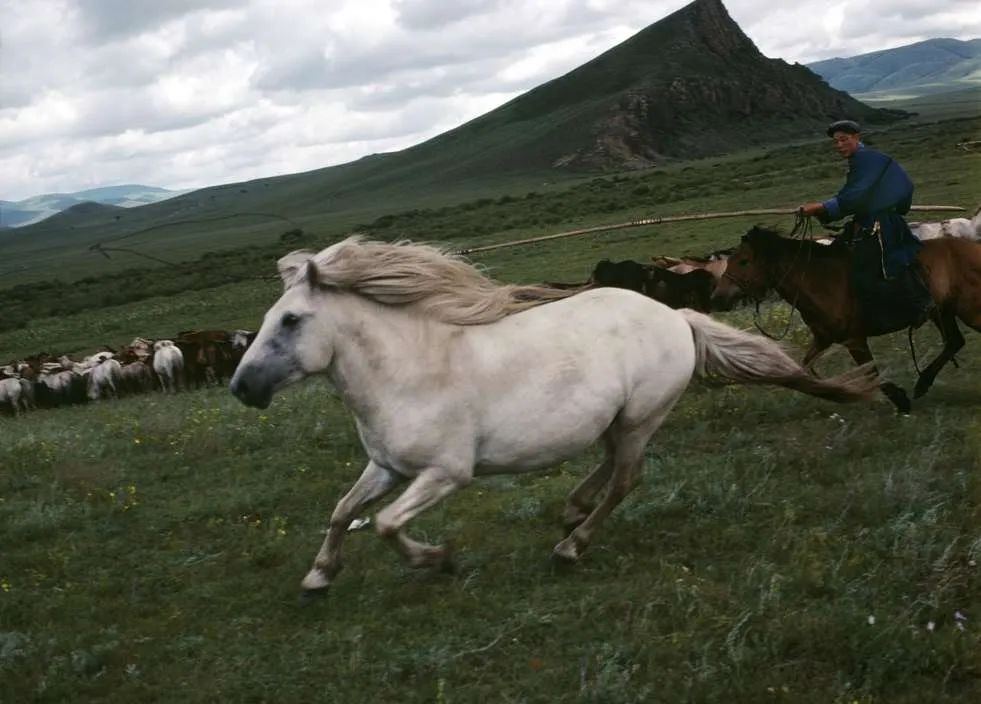 玛格南摄影师作品集,马格南著名摄影师