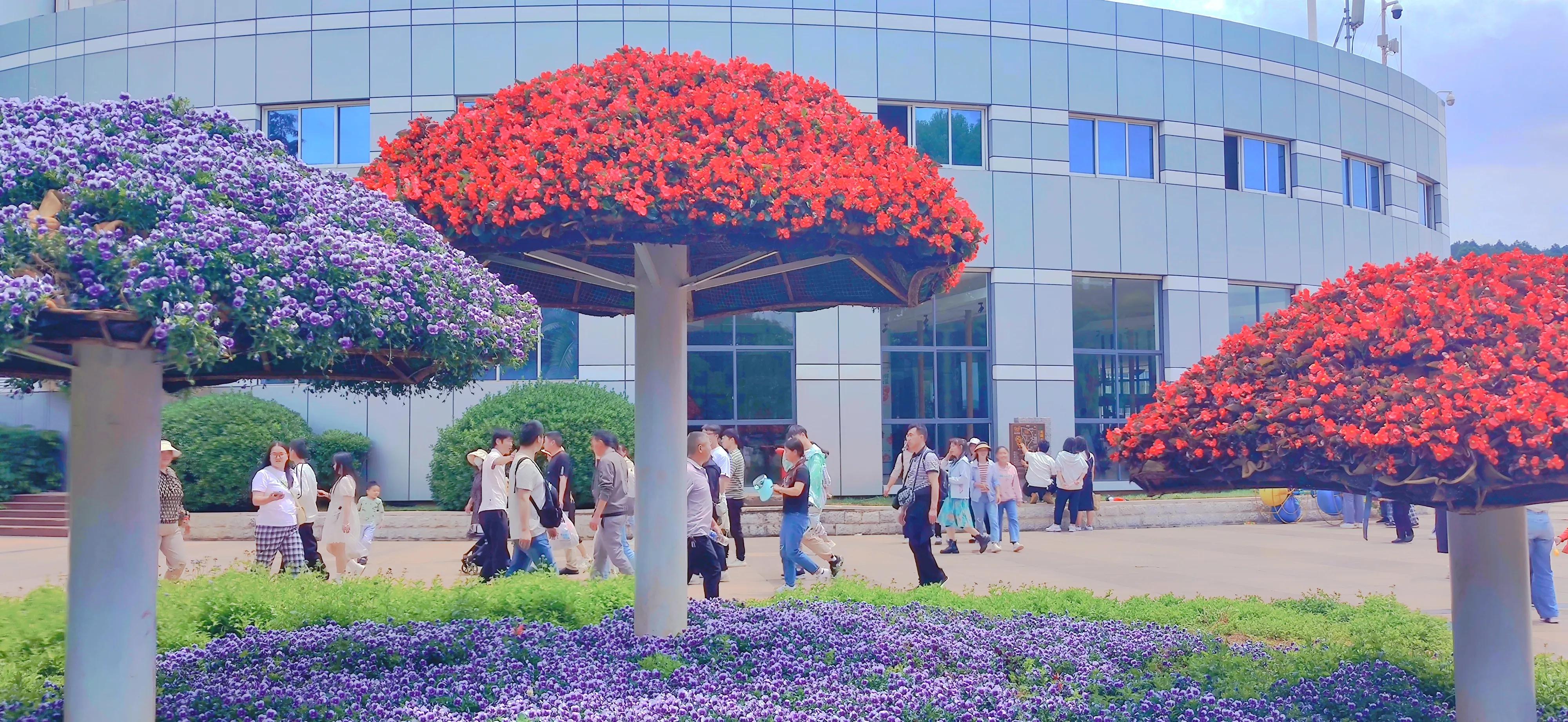 昆明周边一日游旅游景点,昆明旅游必去七大景点推荐