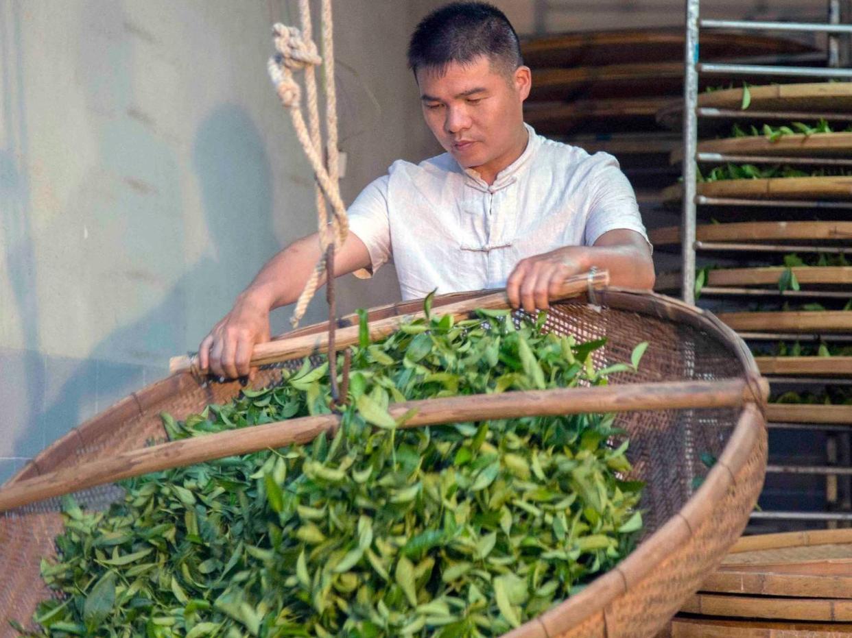 铁观音500元一斤贵吗,2000块一斤的铁观音