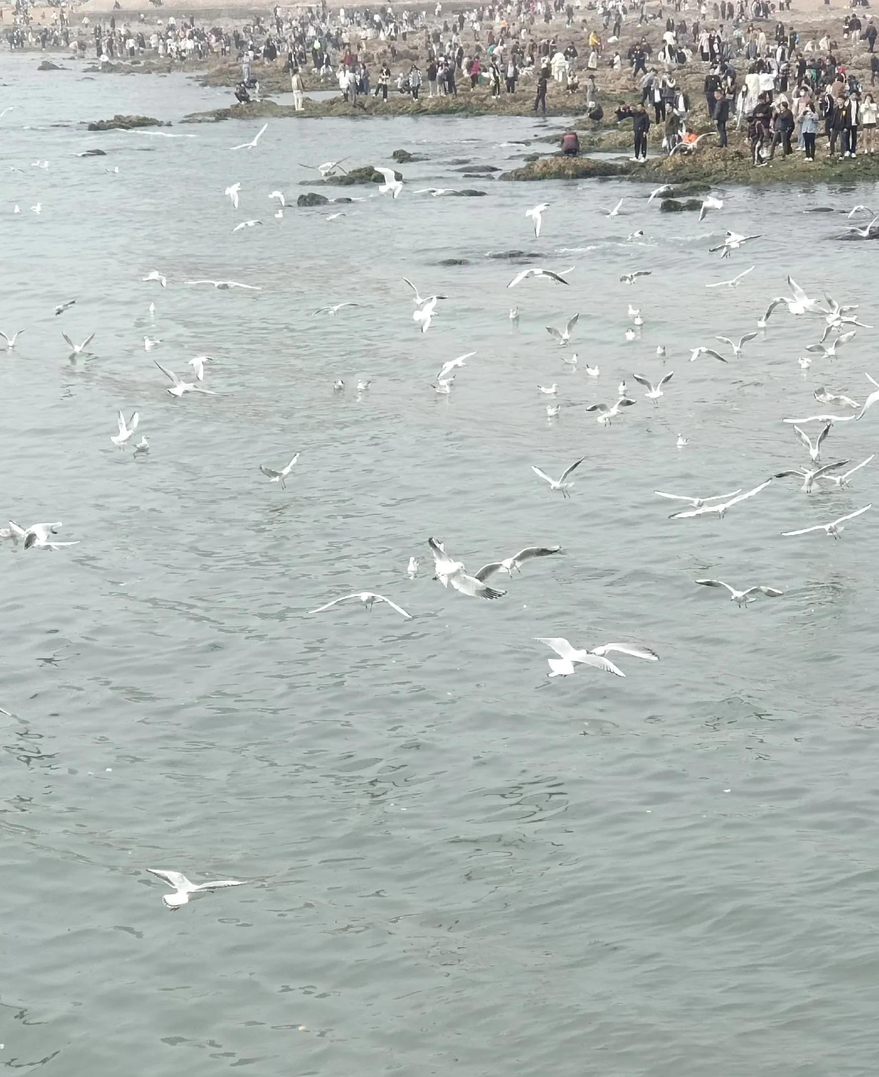 青岛网红打卡景点大全,青岛琅琊山网红打卡景点