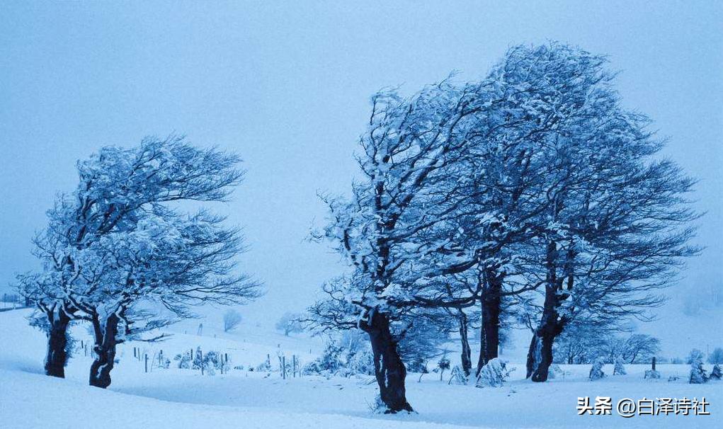 有关冬天的绝美古诗词,冬天最佳10首古诗有哪些
