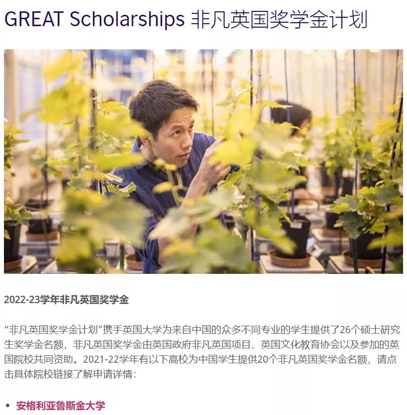 成年人留学奖学金申请有什么条件,2026留学奖学金
