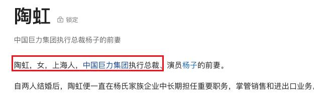 黄圣依的老公杨子为什么这么有钱,黄圣依老公杨子什么背景